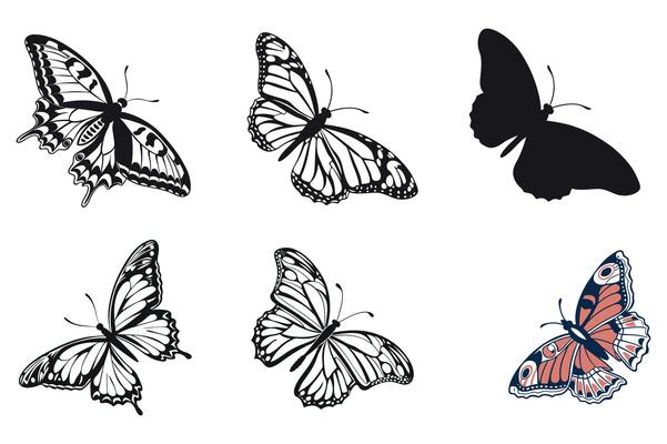 Elegant Black and White Butterfly Silhouettes for Design