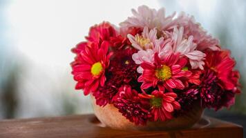 one basket of red, pink, yellow and purple daisies nature background. Asters are a genus of perennial flowering plants in the Asteraceae family, photo