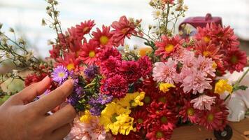 one basket of red, pink, yellow and purple daisies nature background. photo