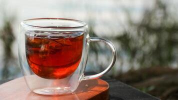 A cup of iced tea and aromatics with a blurred natural garden background, photo