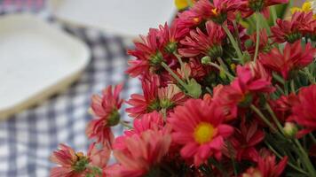 one basket of red, pink, yellow and purple daisies nature background, photo