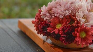 one basket of red, pink, yellow and purple daisies nature background. Asters are a genus of perennial flowering plants in the Asteraceae family. photo