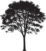 Tree shape design vector