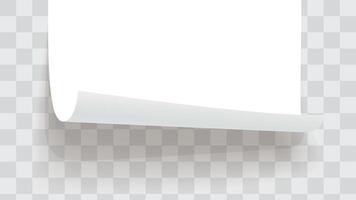 a paper bottom rolled on template back vector