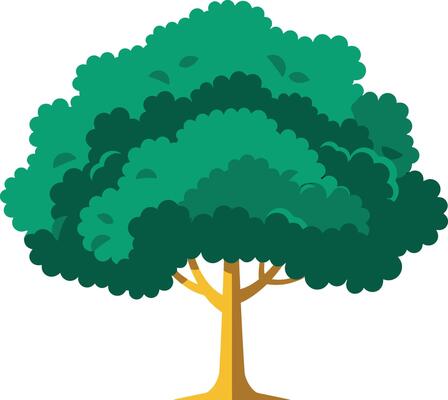 Lush and Vibrant Tree Canopy with Green Foliage and Layered Texture