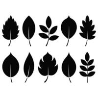 Ten simple black silhouettes of various leaf shapes vector