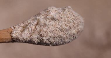 fresh wheat flour close-up, flour for making bread with bran photo