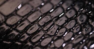 wet genuine black leather Imitating crocodile leather for making objects photo