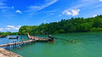 A tranquil riverside scene featuring a traditional boat gliding through clear waters amidst vibrant greenery and a picturesque blue sky. video