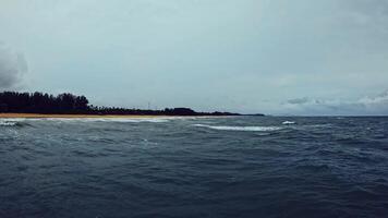 A stunning view of a quiet tropical beach reveals soft waves lapping against golden sands, framed by lush greenery beneath a cloudy sky. video
