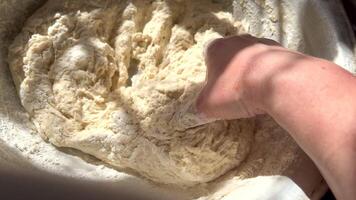 Baker kneading dough in a bowl video