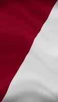 utrecht cidade acenando bandeira dentro vertical orientação. realista bandeira animação. desatado ciclo fundo. video