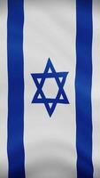 Israel acenando bandeira dentro vertical orientação. realista bandeira animação. desatado ciclo fundo. video