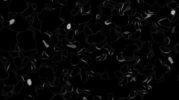 Dynamic Abstract Animation of Morphing Grey and White Organic Shapes on a Black Background Fluid Motion Graphics Loop video