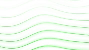 Abstract Flowing Wavy Lines Animation with Dynamic Color Transitions on White Background Seamless Loop Motion Graphics video