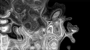 Dynamic Black and White Abstract Motion Swirling Organic Patterns and Evolving Grayscale Textures video
