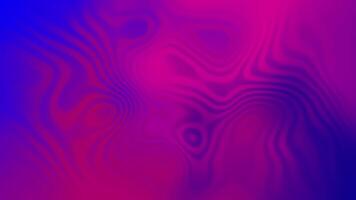 Abstract background gradient wavy magenta blending into violet smooth transitions video