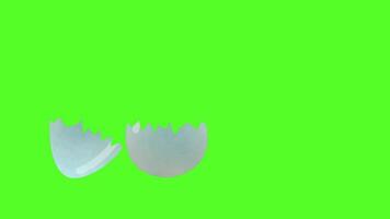 egg shell cracks open green screen video