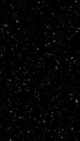 Snow falling on transparent background. Alpha channel. Falling snowflakes. Motion background. video