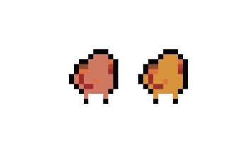two little chicken walking pixel animation video