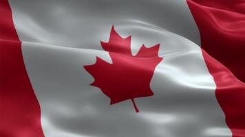 High Quality Realistic 3D Animation of Canada Flag Seamlessly Waving in the Wind video