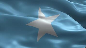Seamless 3D Animation of Somalia National Flag Waving in the Wind video