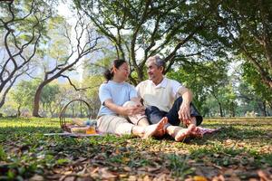 Senior asian couple are having summer picnic in the public park while holding hand together for love, longevity and healthy marriage relationship usage photo