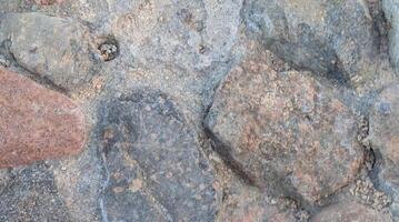 Banner-size stone pavement texture displaying authentic gray cobblestones with dark natural accents. Versatile background for creative projects and architectural visuals photo