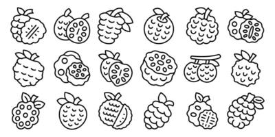 Custard apple icons set. Sugar apple icons showing exotic fruit with leaves and seeds vector