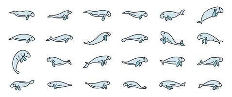 Collection of dugong poses swimming and floating gracefully in various styles vector