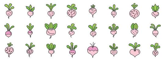 Set of turnip icons showing different styles and variations vector