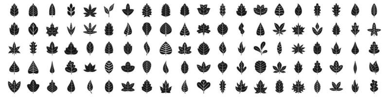 icons set. Large set of various leaf icons showing different shapes and textures vector