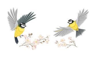 Small tit bird and blooming twig of sakura tree set. Symbol of spring cartoon illustration vector