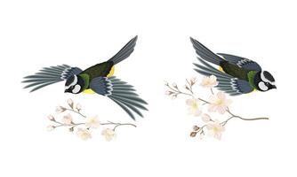 Titmouse bird and blooming twig of sakura tree set cartoon illustration vector