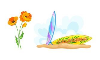 Tropical beach objects set. Red flower and surfboard illustration vector
