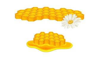 Beekeeping and honey production set. Honeycomb slices with liquid honey, apiculture product illustration vector