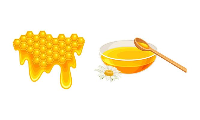 Beekeeping set. Honeycomb slice with liquid dripping honey and bowl of fresh honey, apiculture product illustration