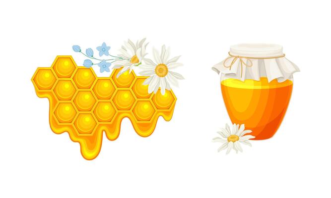 Beekeeping and honey production set. Honeycomb slice with liquid honey and glass jar of fresh apiculture product illustration