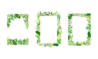 Collection of rectangular frames made of leaves. Green elegant natural borders with copy space, organic decor element illustration vector