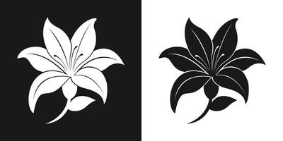 Elegant lily flower illustration in two contrasting color schemes for various design applications vector