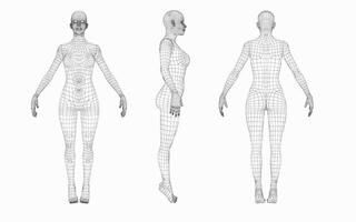 woman body wireframe from different sides, front view,back view,side view vector