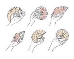Set of hand drawn seashells in hands. Hands holding seashells. Outline sketch illustration. vector