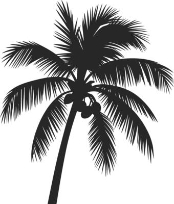 Tropical palm tree silhouette image