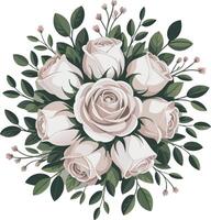 White roses and leaves on a white background vector