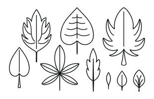 Set of Contour Leaves. Collection of outline symmetrical element of different trees - oak, maple. Coloring Foliage. Nature Icons, plant. Linear organic, natural botany. Isolated. illustration. vector