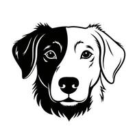 Frontal view of a Border Collie's head, rendered in bold black and white vector