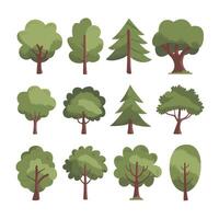 Set of different plants and trees vector