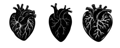 Collection of white heart vectors isolated on white background