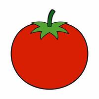 Tomatto illustration design isolated on white background vector