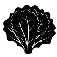 Lettuce leaf graphic isolated on white background vector